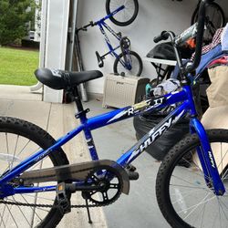 20 Inch Bike