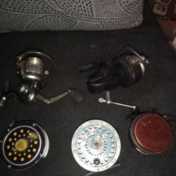 Fly Fishing Reels And Spin Casts 