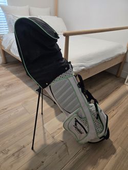 Wilson Power Source Golf Club Set with Cleveland Golf Stand Bag- Junior golf set.