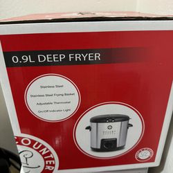 0.9L Deep Fryer