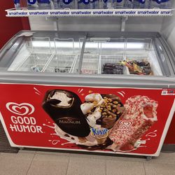 Store Ice cream Fridge Like New 