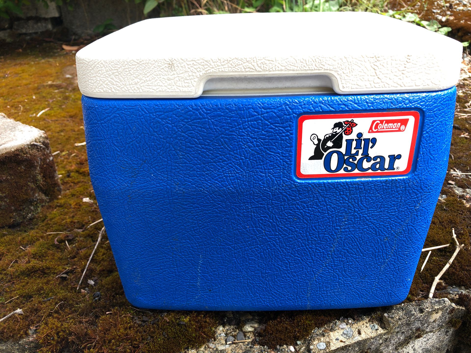 Lil Oscar Colman cooler