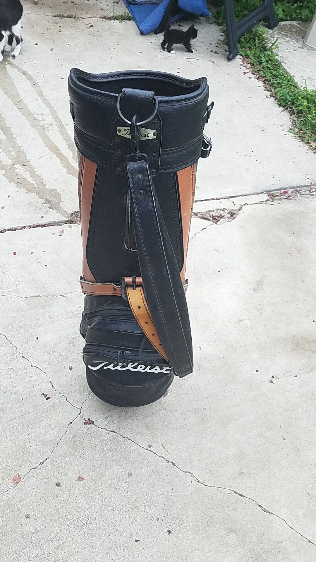 Vintage Titleist leather golf bag for Sale in San Antonio, TX OfferUp