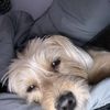 Jake