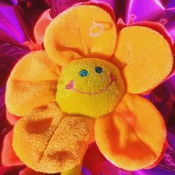 Orange Flower