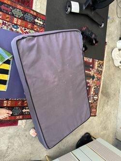 FREE Gently used dog bed, dry food container, misc dog supplies