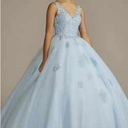 Fifteen Rose's Fairytale Ball Gown New