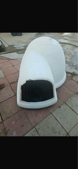 Dog igloo
