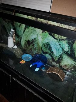 75 GALLON TANK W/ STAND