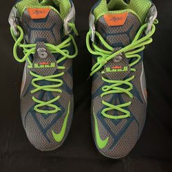 Nike LeBron James Sneakers 