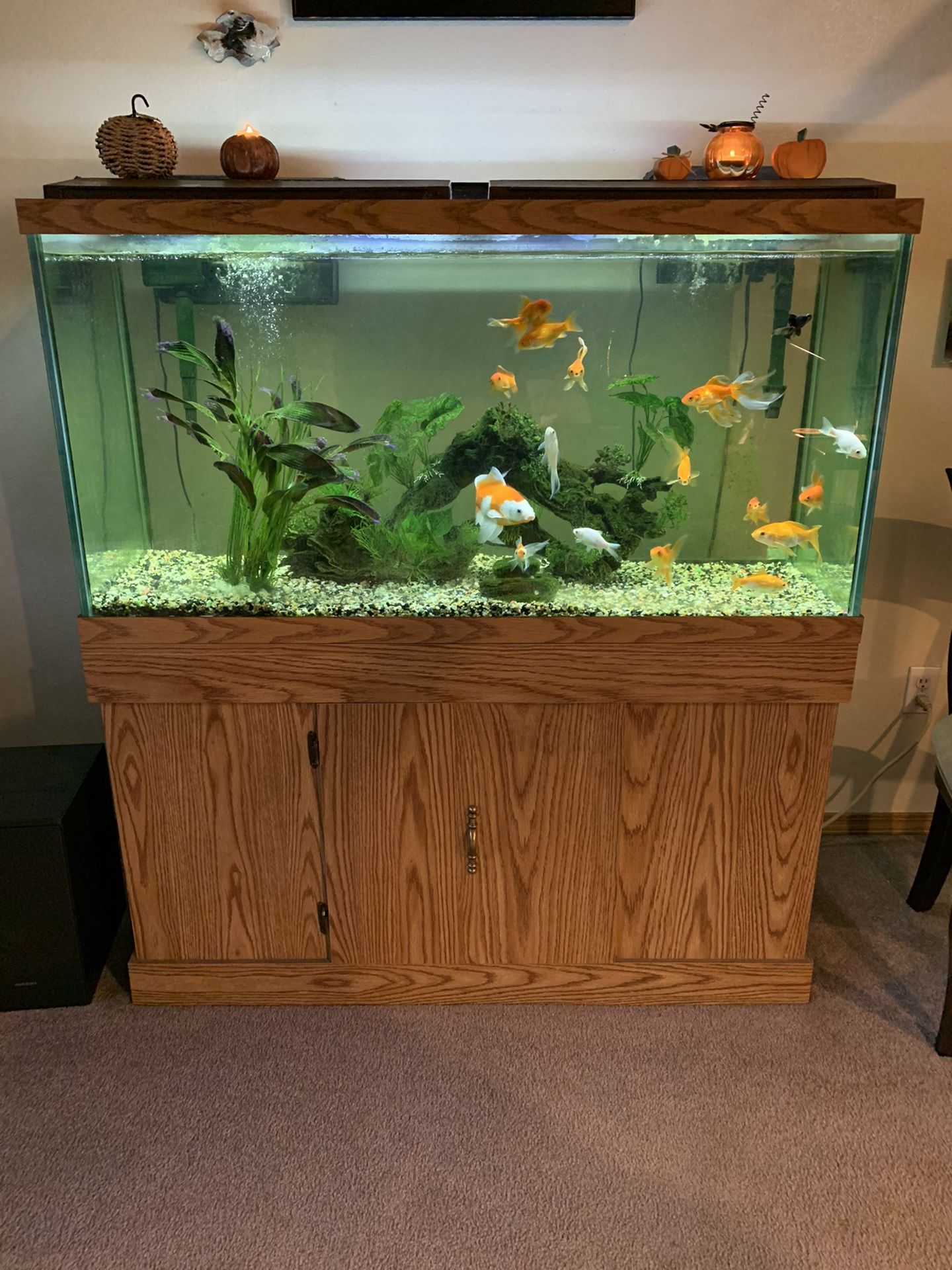 Wooden Fish Tank - Great Condition