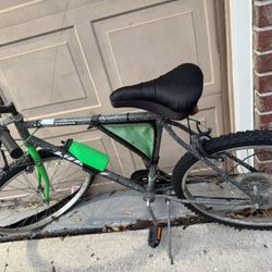 Stone Mountain Bike Adult 