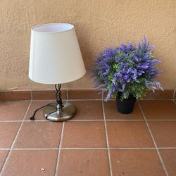 Lamp and Lavender Plant Bundle $25