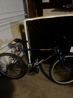 Blue ShwinnBike