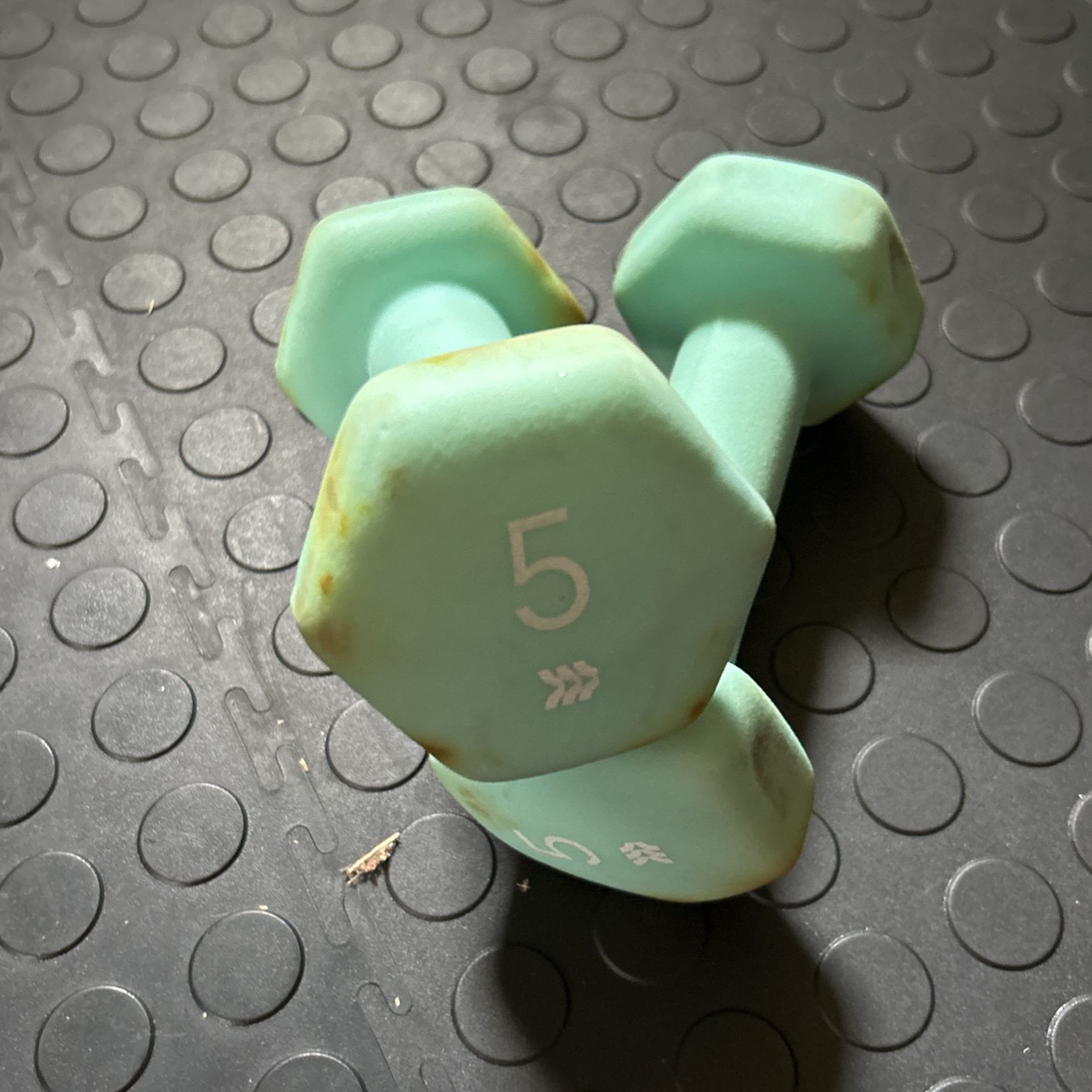 5 Lb Weighs Perfect For Aerobics Or A Quick Workout