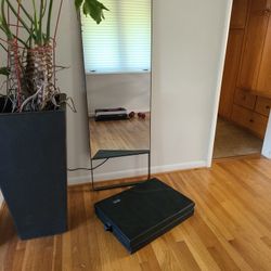 Mirror Exercise Machine