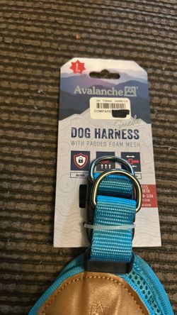 Large Avalanche harness