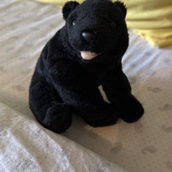 Black Teddy Best 