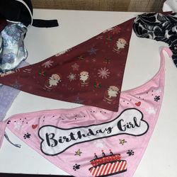 Dog Bandanna 