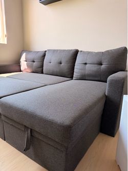 Pull-out Sectional Sofa/Bed with Storage