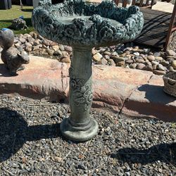 Bird Bath 