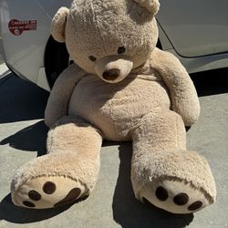 Giant 5ft Teddy Bear