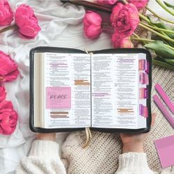 Bible Journaling Kit 