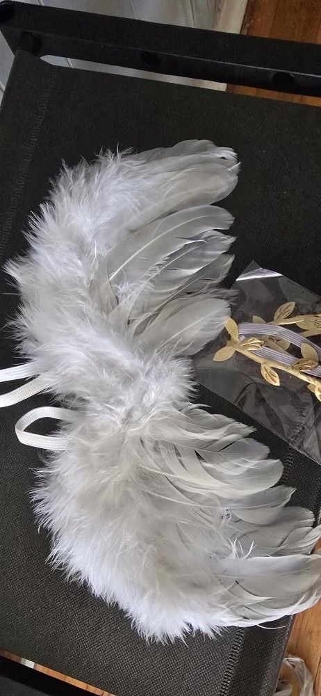 Newborn Photo Prop Angel Wings W/gold Head Crown