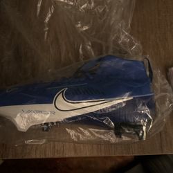 Lions Autographed Football Cleat 
