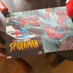 3D Holographic Spider Man Posters