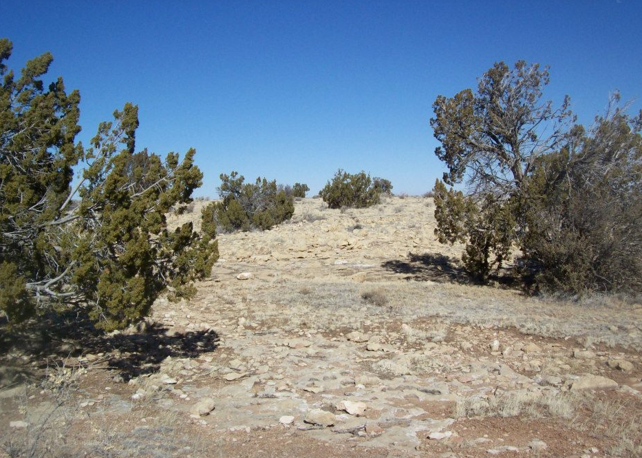 Chevelon Canyon Ranch property for sale or trade for Sale in Tolleson