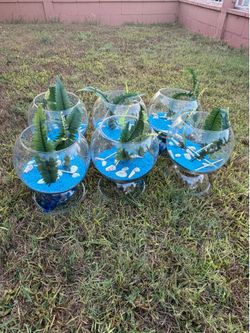 Fishbowls x6