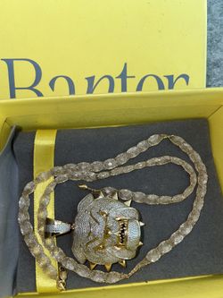 10 K Gold Chain and Charm