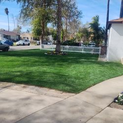 SOD ✅ Seed ✅ Scrubs ( Plants )🌿