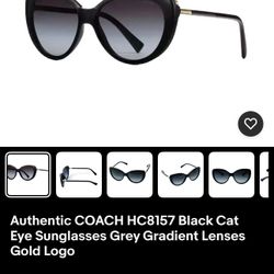 Coach Sunglasses 