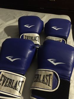 Everlast boxing gloves