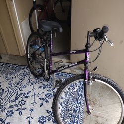 Diamond Back Bike Topanga.