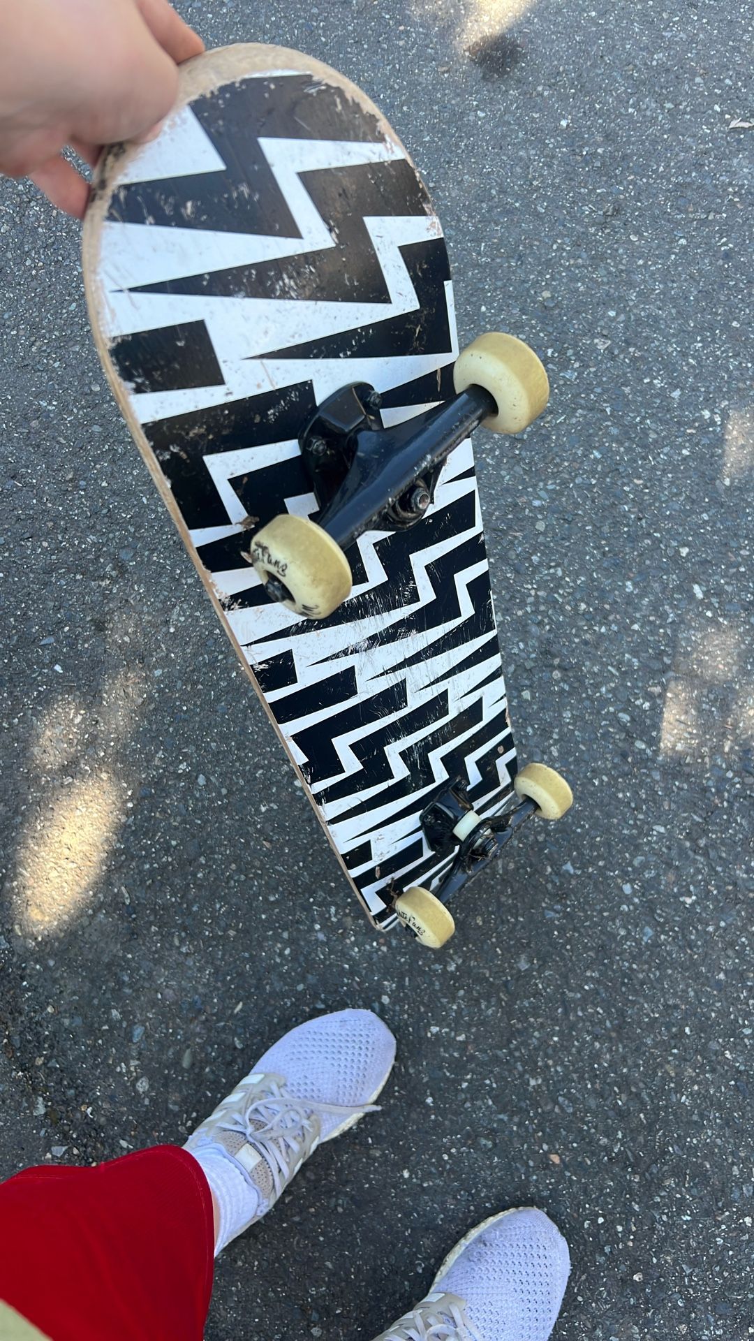 White Fang Skate Board