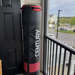 Punching Bag 