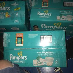 Pampers Baby Dry Diapers 