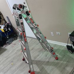 Giant ladder