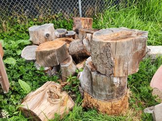 Firewood Rounds