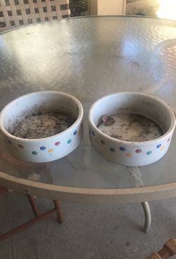 Two Dog Dish