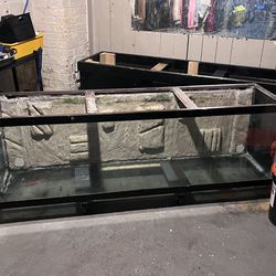 150 Gallon Fish Tank, Which Stand