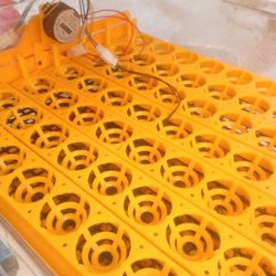 Incubator Fo Chickens Ducks Ect...