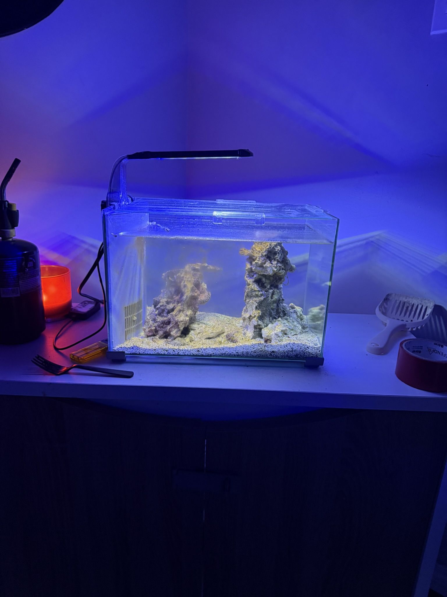 Fish Tank