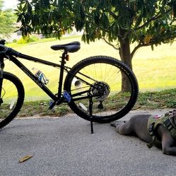 Cannondale Trail 5