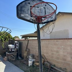 Basket Ball Court