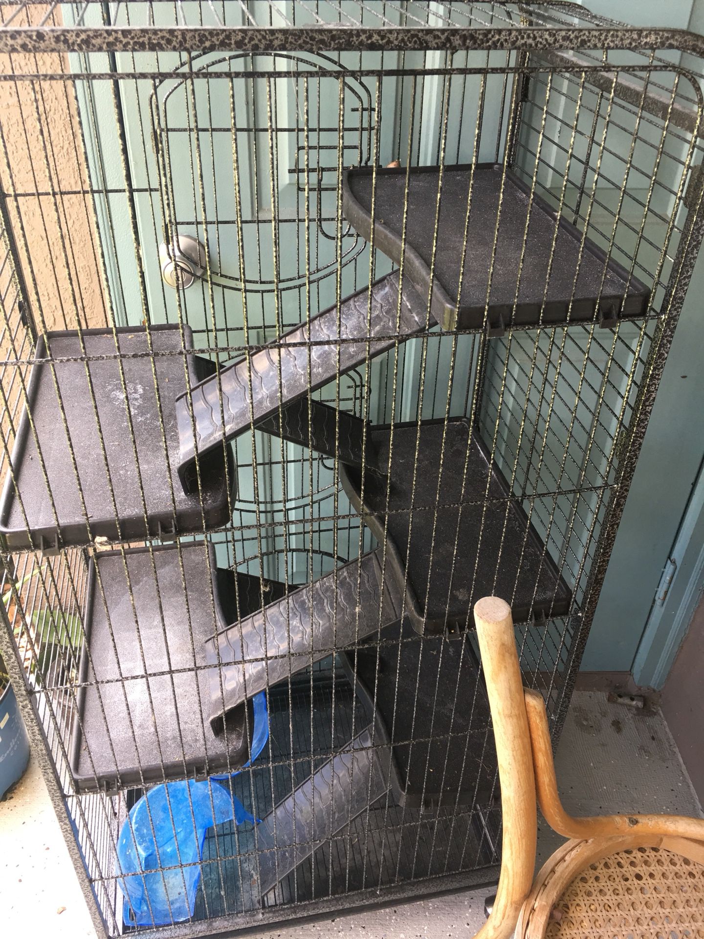 Bird cage for sale at Tampa
