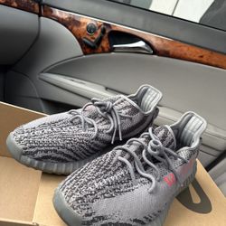 Beluga Reflective